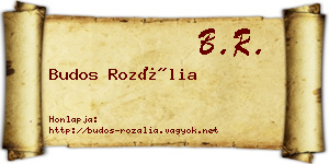 Budos Rozália névjegykártya